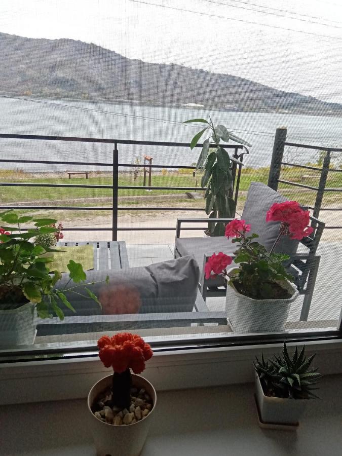 Std- Na Lepom Plavom Dunavu Kladusnica Esterno foto